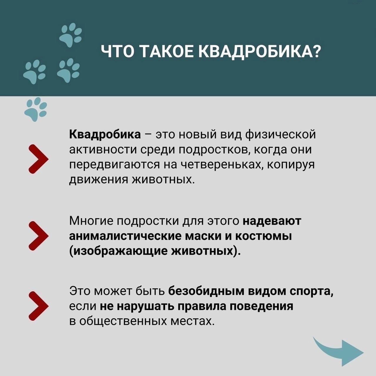 Квадробика Квадробика.
