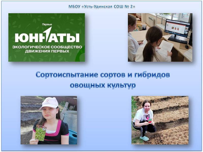 семинар «Результаты проектно- исследовательской деятельности по сортоиспытанию сортов и гибридов овощных культур.