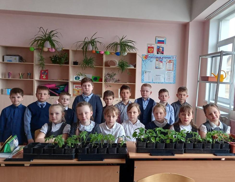 Акция «Озеленяй».